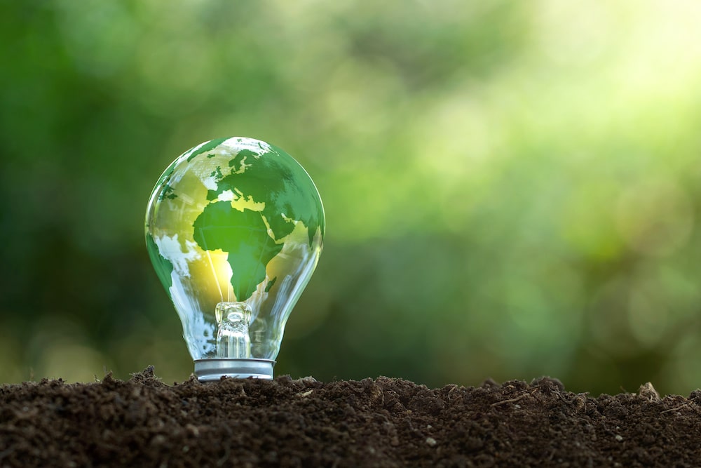 lightbulb with the earth on it